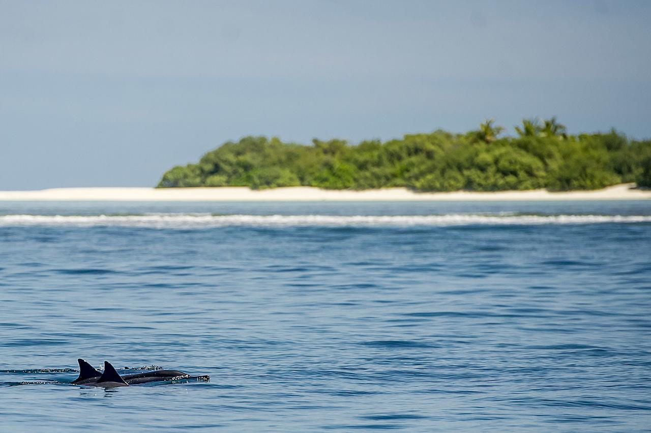 Detour Beach View Hangnaameedhoo Luaran gambar