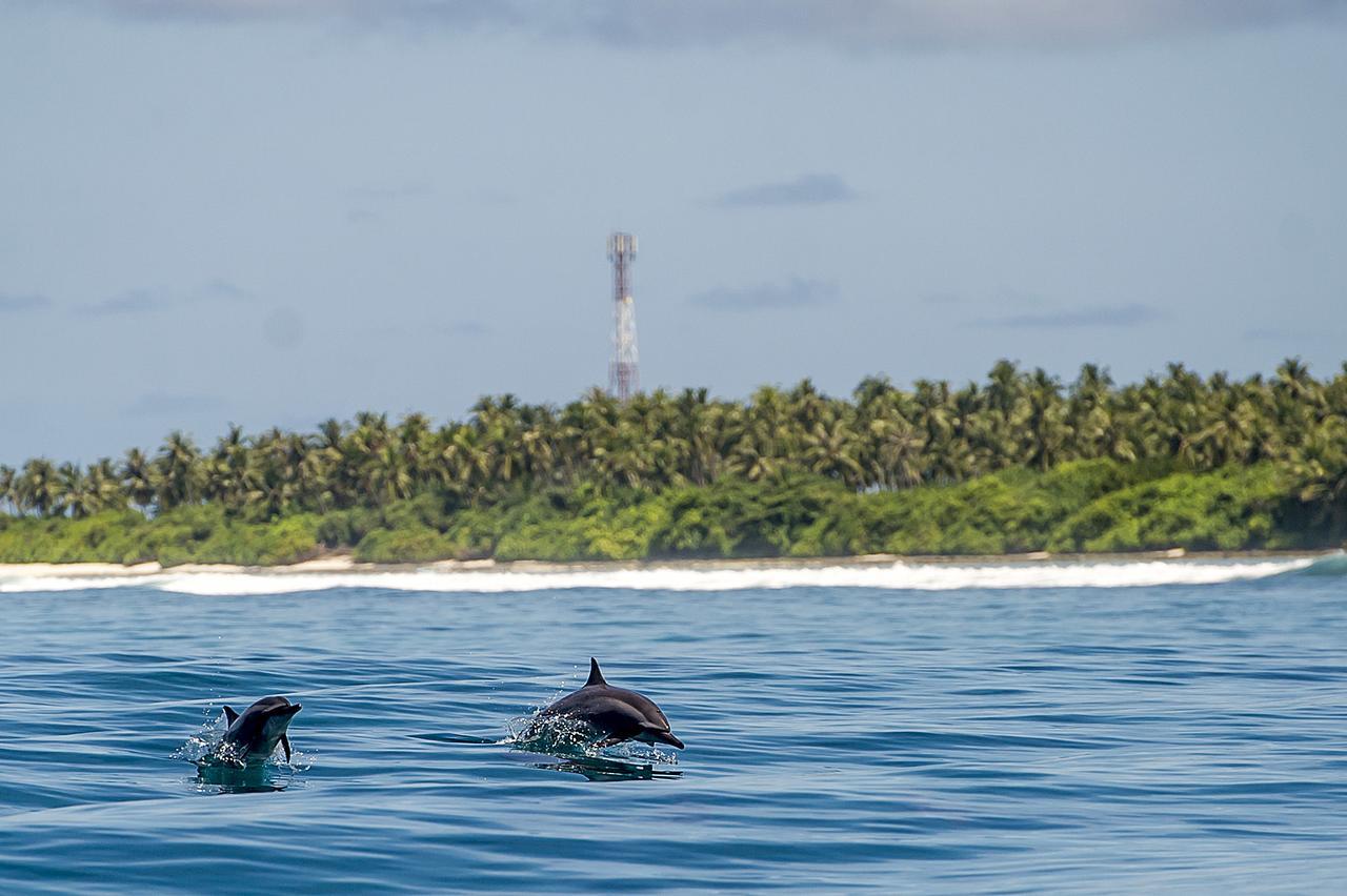 Detour Beach View Hangnaameedhoo Luaran gambar